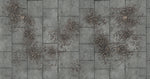 10th Standard - Base Only