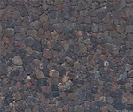 10th Standard - Base Only